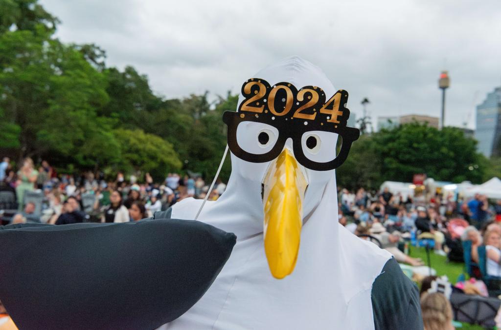 Man dressed as seagull holding 2024 glasses to his face