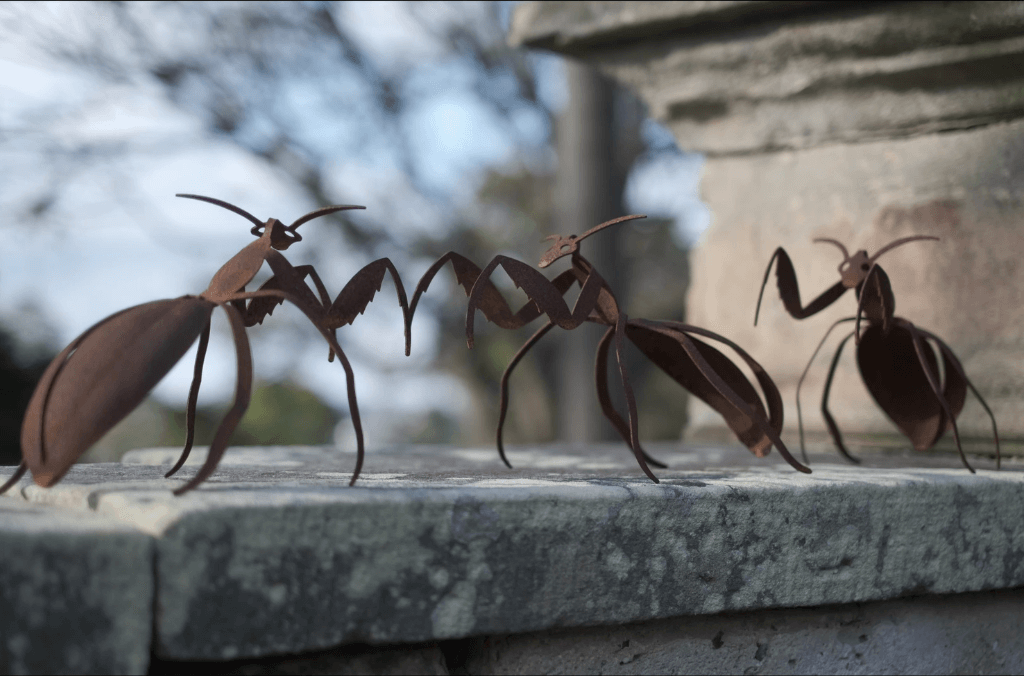 Rusty Ants by David Dawson