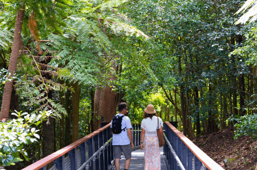 Two people walking down a path with trees